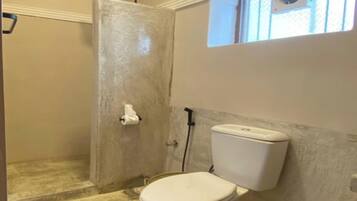 A bathroom with a toilet, a shower, and a window with a small skylight.