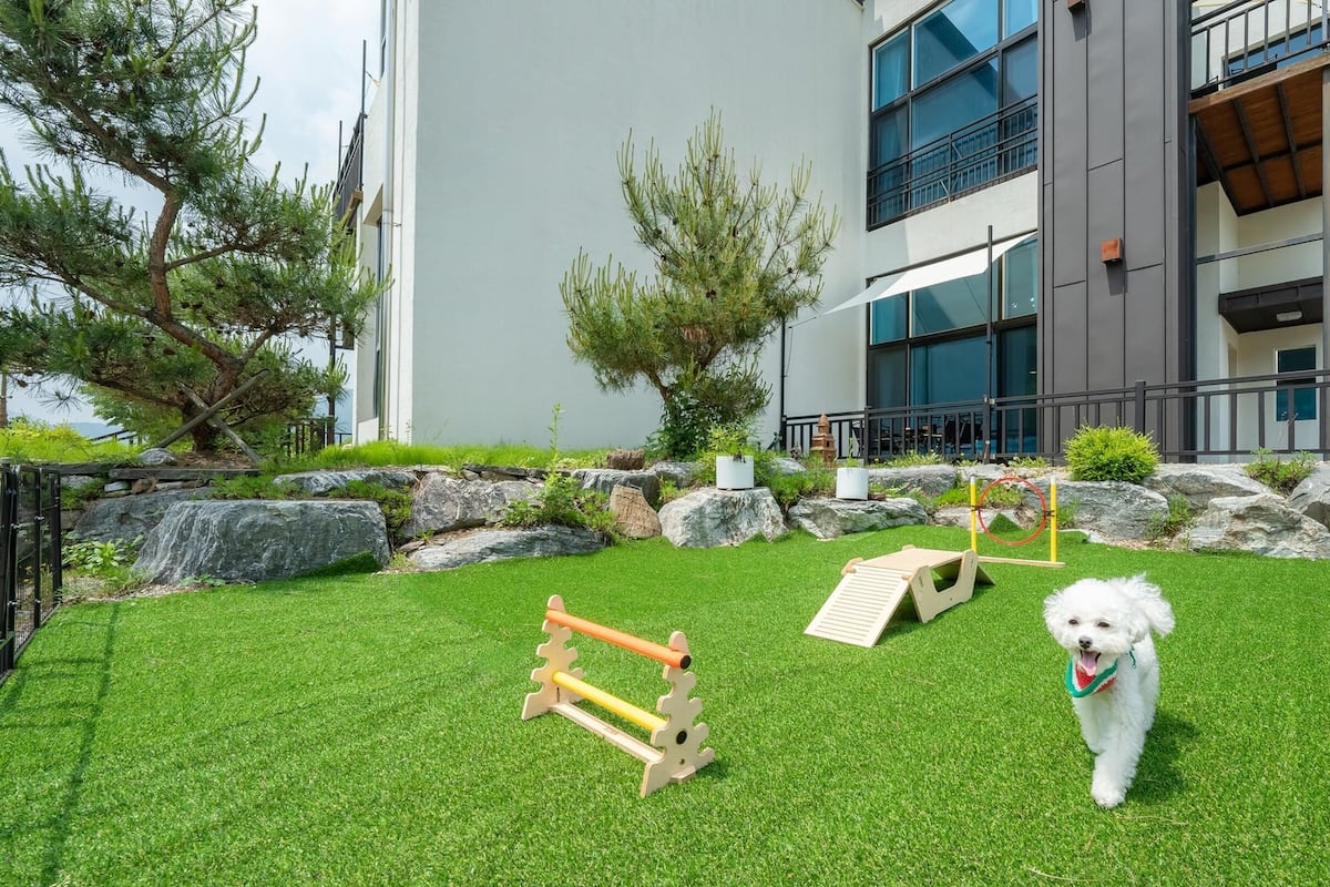 Ein modernes Gebäude mit einem eingezäunten Garten, der künstliches Gras, einen hölzernen Parcours und einen kleinen Baum zeigt.
