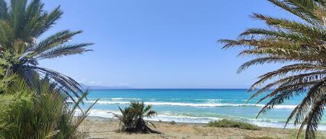 Strand