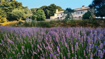 Enceinte de lâhĂ©bergement