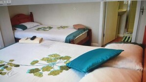 1 bedroom, iron/ironing board, internet, bed sheets - Comfortable Family room with Tv, Free Fast Wifi, Sleeps 3 (Hayes)