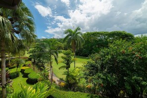 A lush garden with palm trees, a well-maintained lawn, and a pathway.