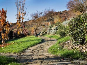 Áreas de la propiedad