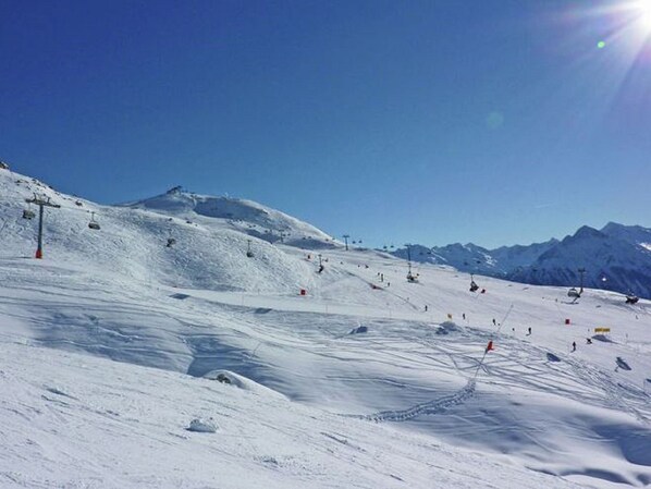 Sneeuw- en skisporten