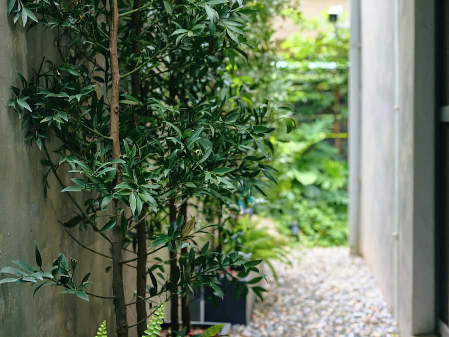 Fachada da propriedade