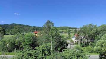Paisaje rural con casas, árboles y un cielo azul despejado.