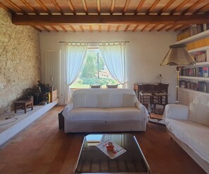 Televisor intel·ligent, llar de foc i llibres 