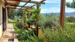Un sentier de jardin menant à une pergola en bois, ornée de plantes grimpantes et de rosiers.