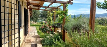 Beautiful farmhouse with pool in Calvi dell'Umbria 30 min. from Rome