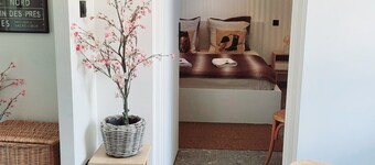 Bed and breakfast at Haras d'Agathe et ses princes - dogs and horses welcome