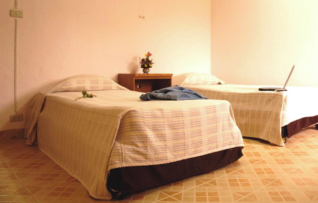 A room with two beds, a nightstand with a vase of flowers, and a laptop on the right side.