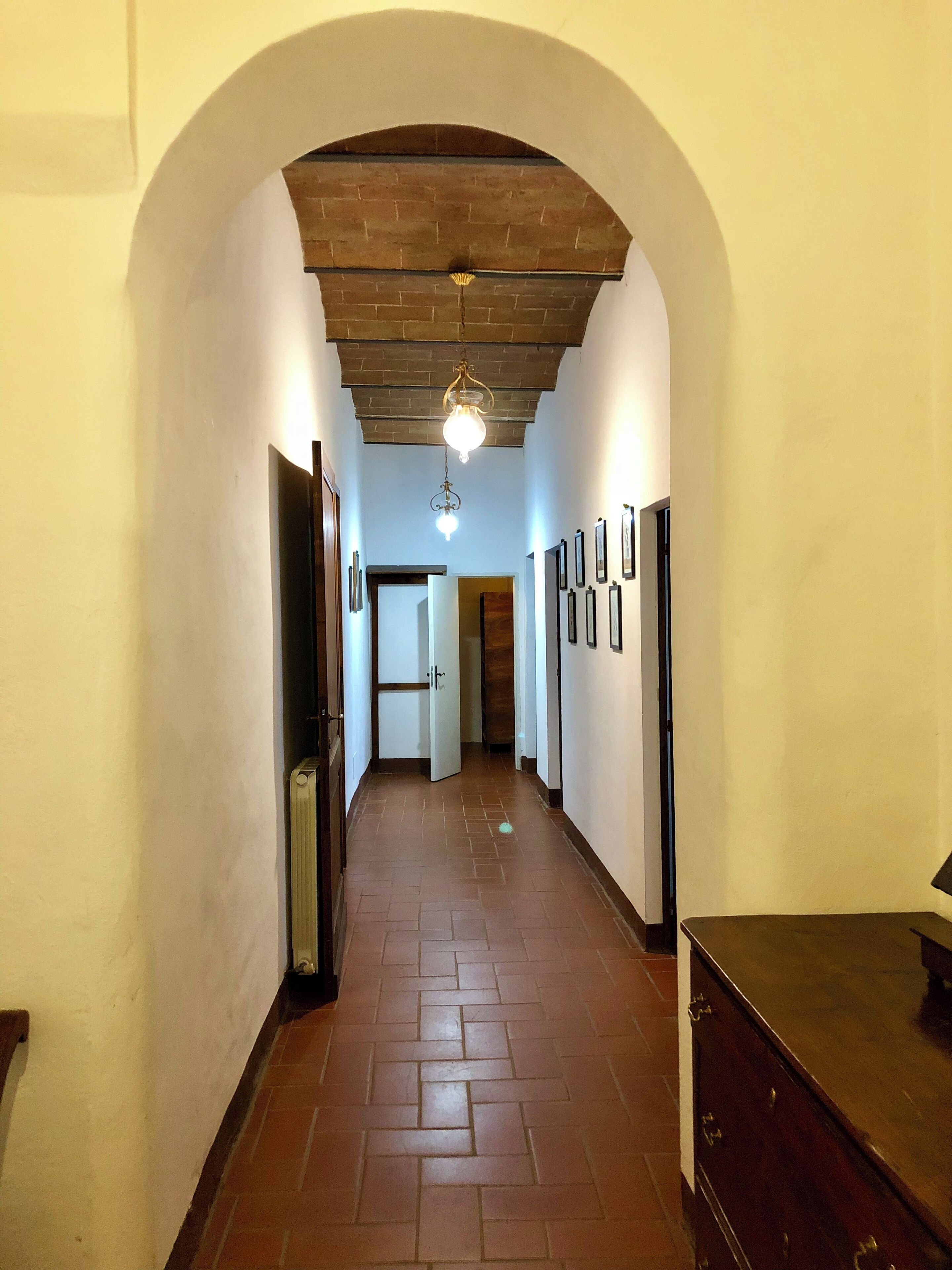 A hallway with a brick floor, an arched ceiling, and a hanging light fixture.