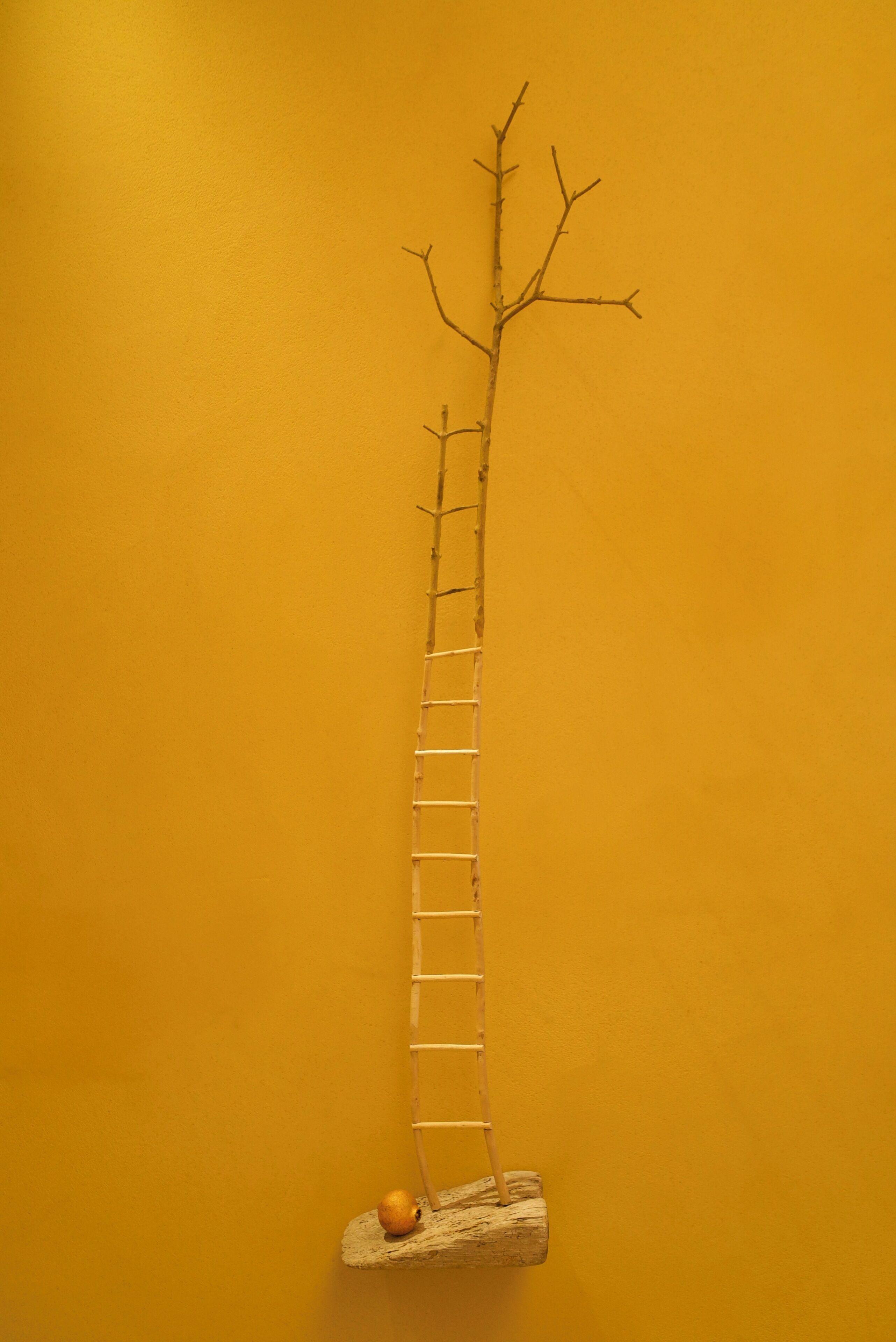 A ladder leaning against a yellow wall.