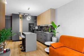 TV, offices - Lumina luxury apartment with garden (Łódź)