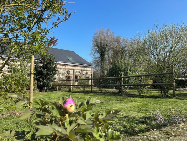 Property grounds - L'Echo de la nature, less than 10 minutes from the beaches and Veules les Roses (Sasseville)