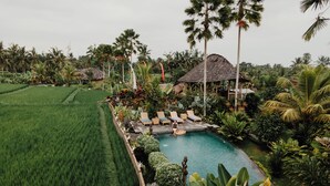 A tropical resort with a swimming pool, lounge chairs, and lush greenery. - Padi Bali Retreat (Payangan)