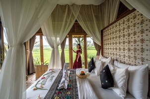 Vistas desde la habitación