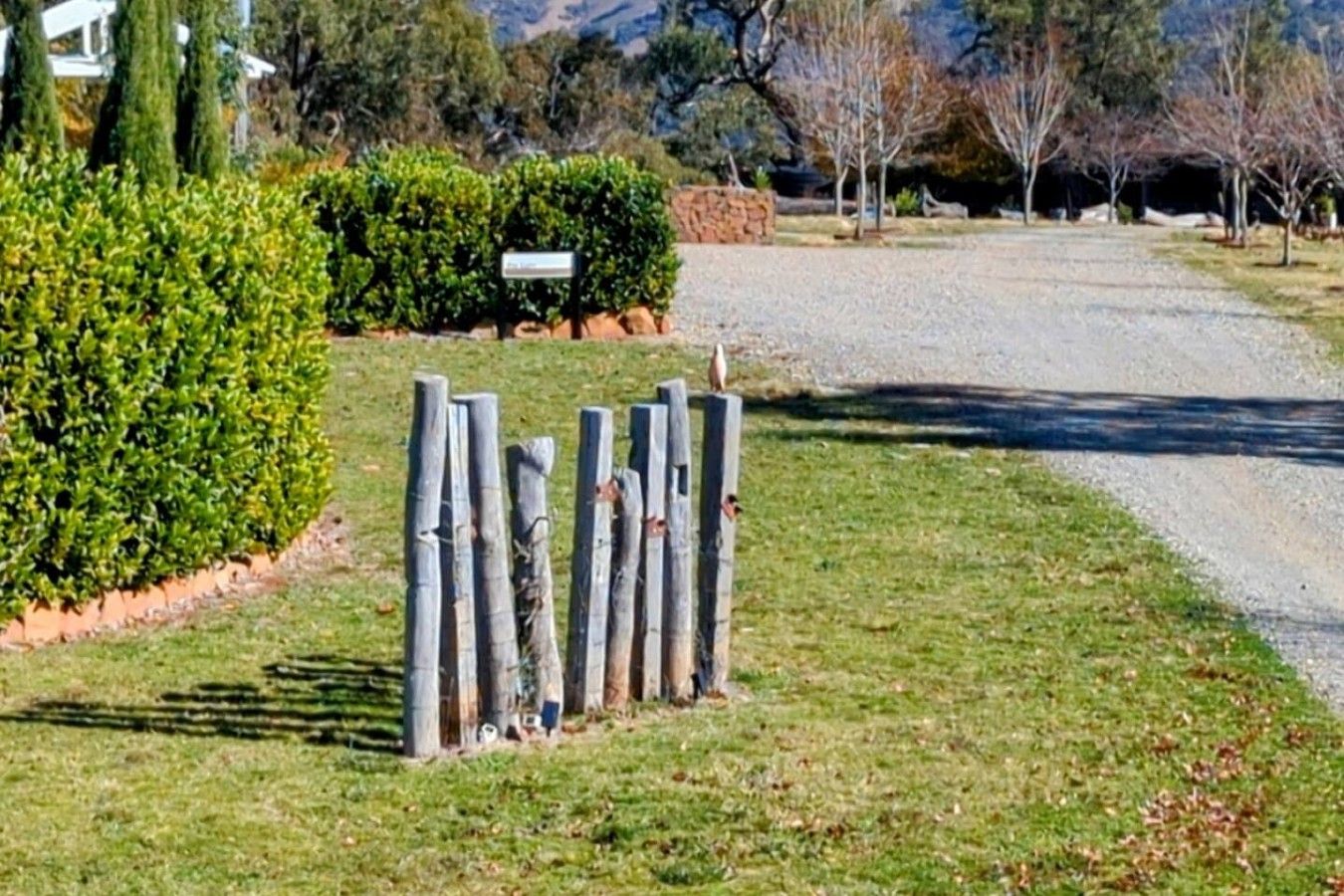A gravel driveway leading to a property with a well-maintained lawn and a hedge.