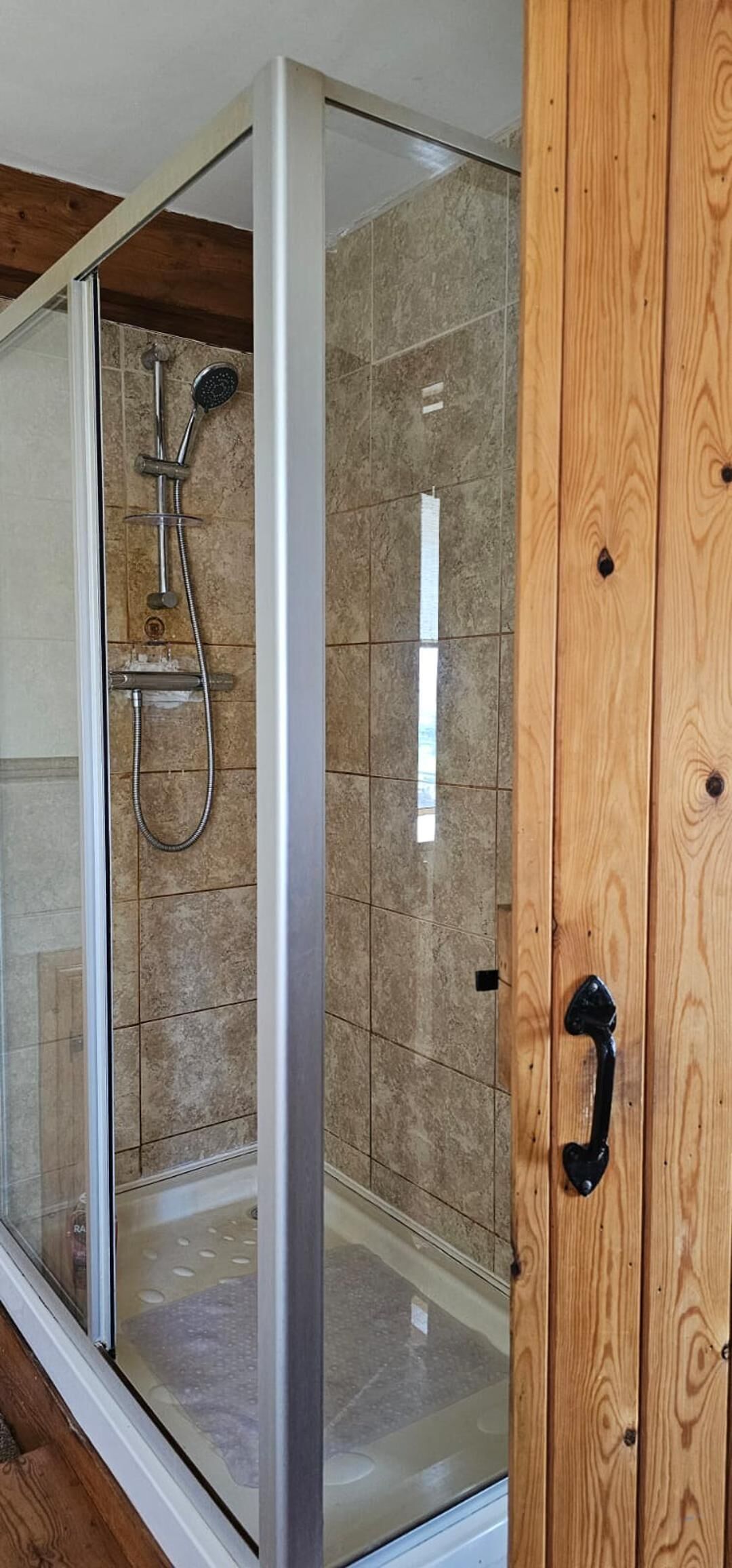 A glass-enclosed shower area with a wooden door and a metal handle.
