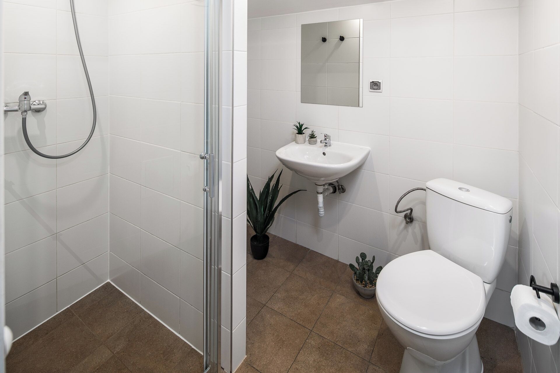 A bathroom with a shower, sink, toilet, and a small potted plant.
