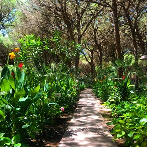Exterior - Hotel with swimming-pool in Arborea (Arborea)