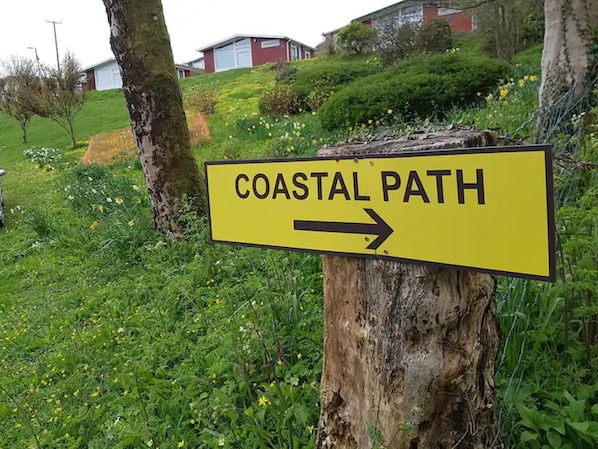 Cabin | Property grounds - Lovely Lodge Next To The Mansion House Llansteffan (Carmarthen)