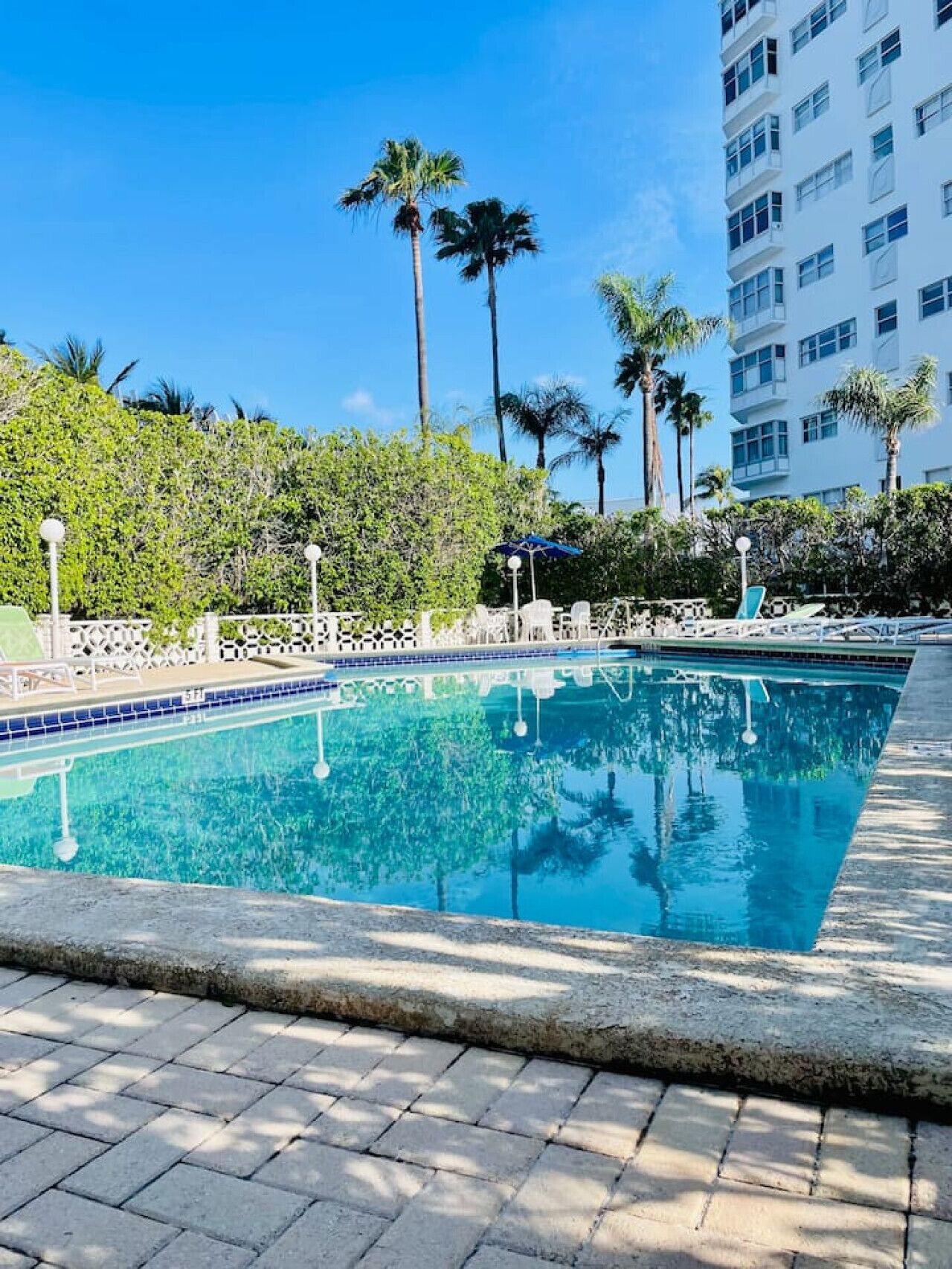 A swimming pool with a tiled edge, surrounded by a white fence and palm trees.