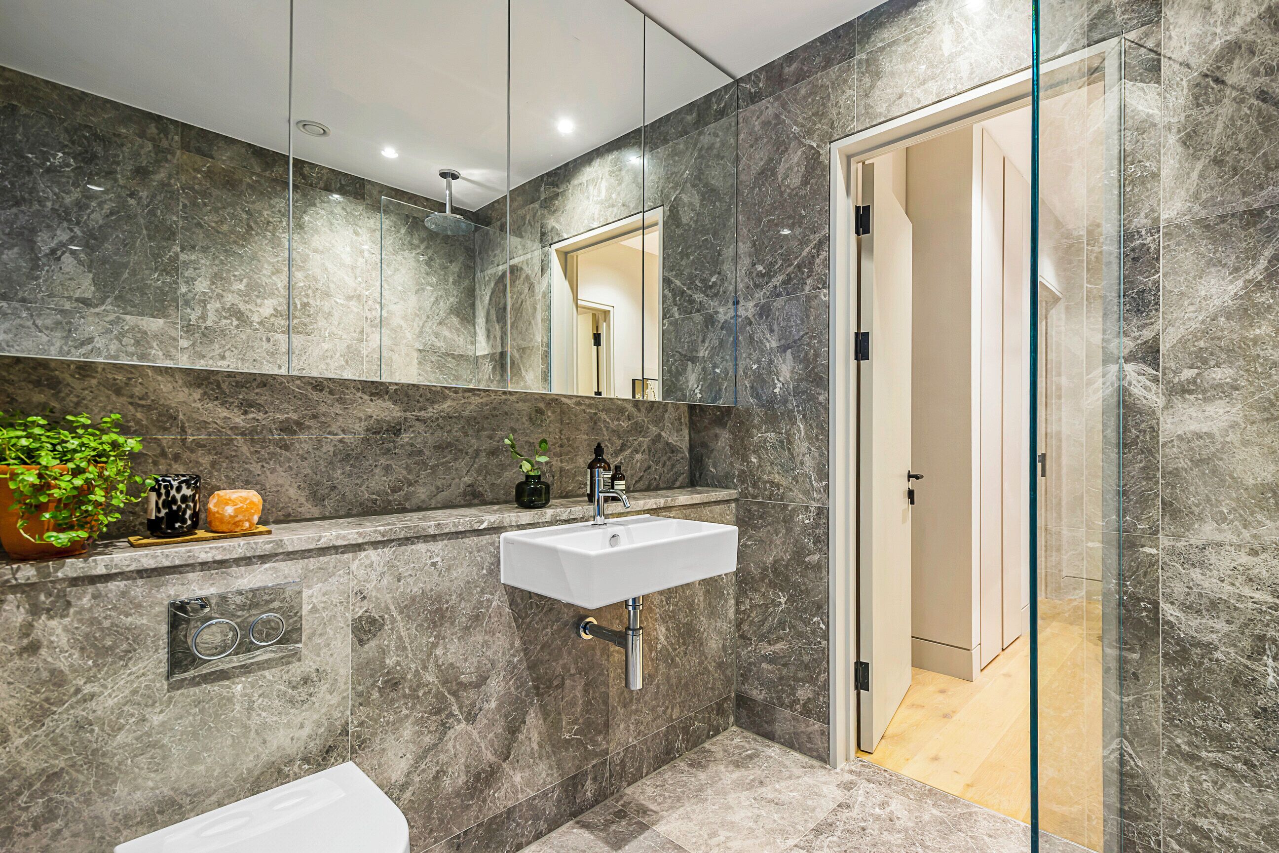A modern bathroom with a marble sink, a glass shower enclosure, and a potted plant on the vanity.