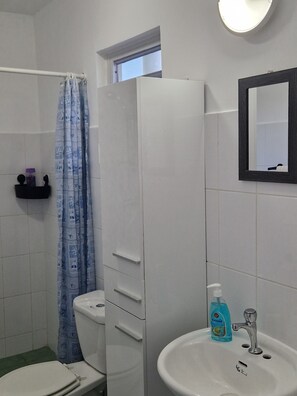 Bathroom features a toilet, sink with mirror, and shower area with a curtain.