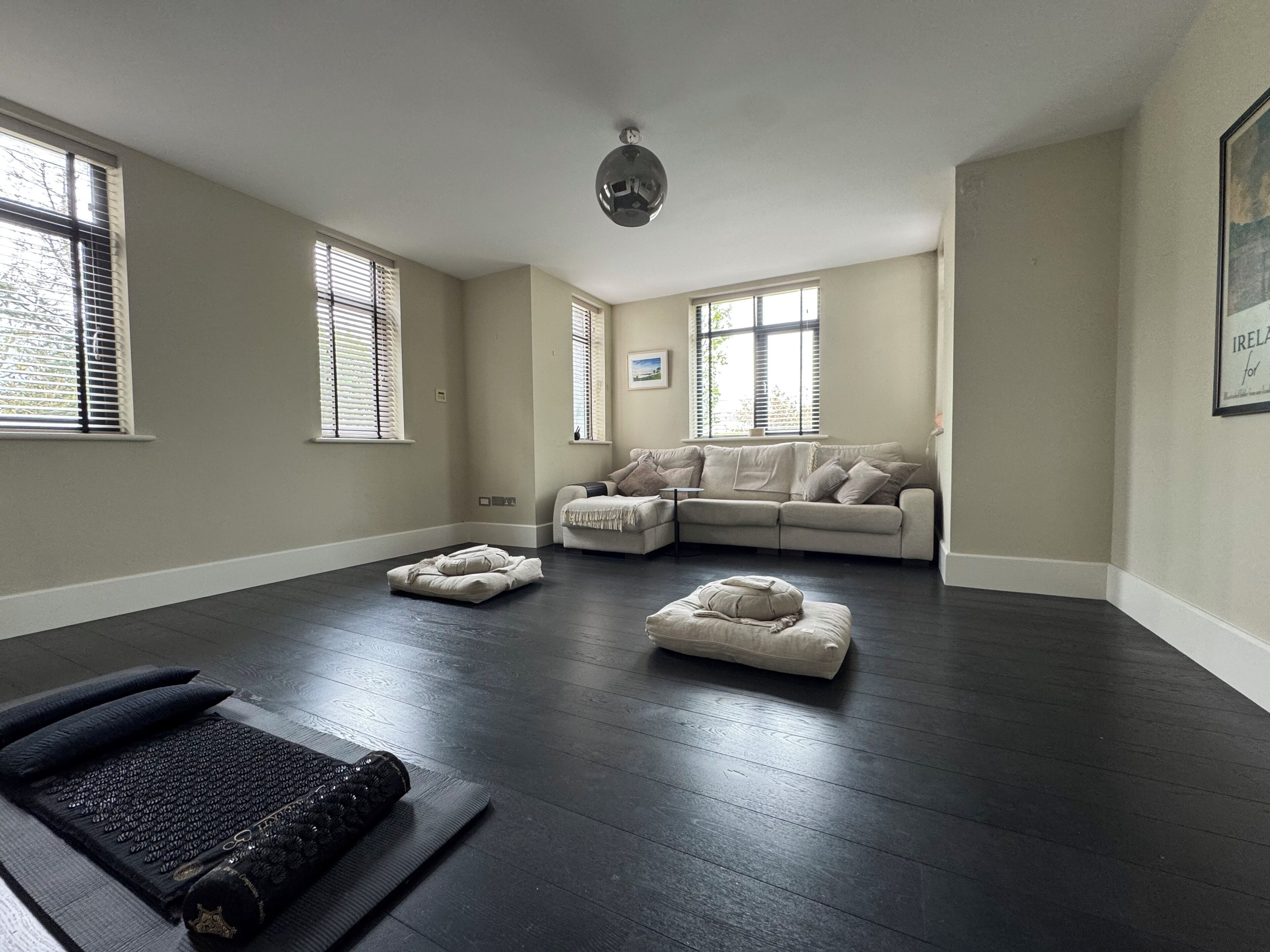 Smart TV, chimenea, reproductor de DVD y monitor de computadora 