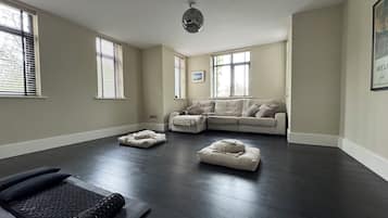 Smart TV, chimenea, reproductor de DVD y monitor de computadora