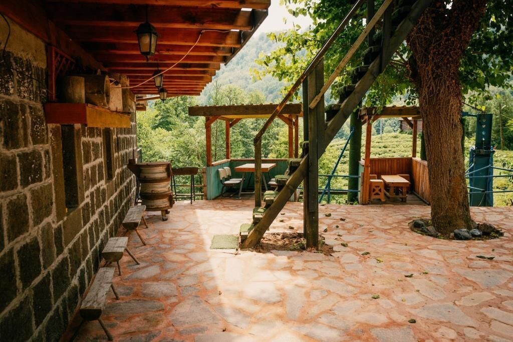 BBQ/picnic Area