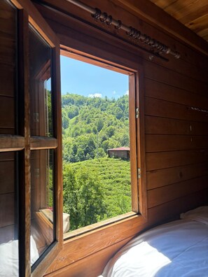 Habitación doble, balcón, vistas a la montaña | Vistas desde la habitación