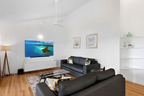 TV
