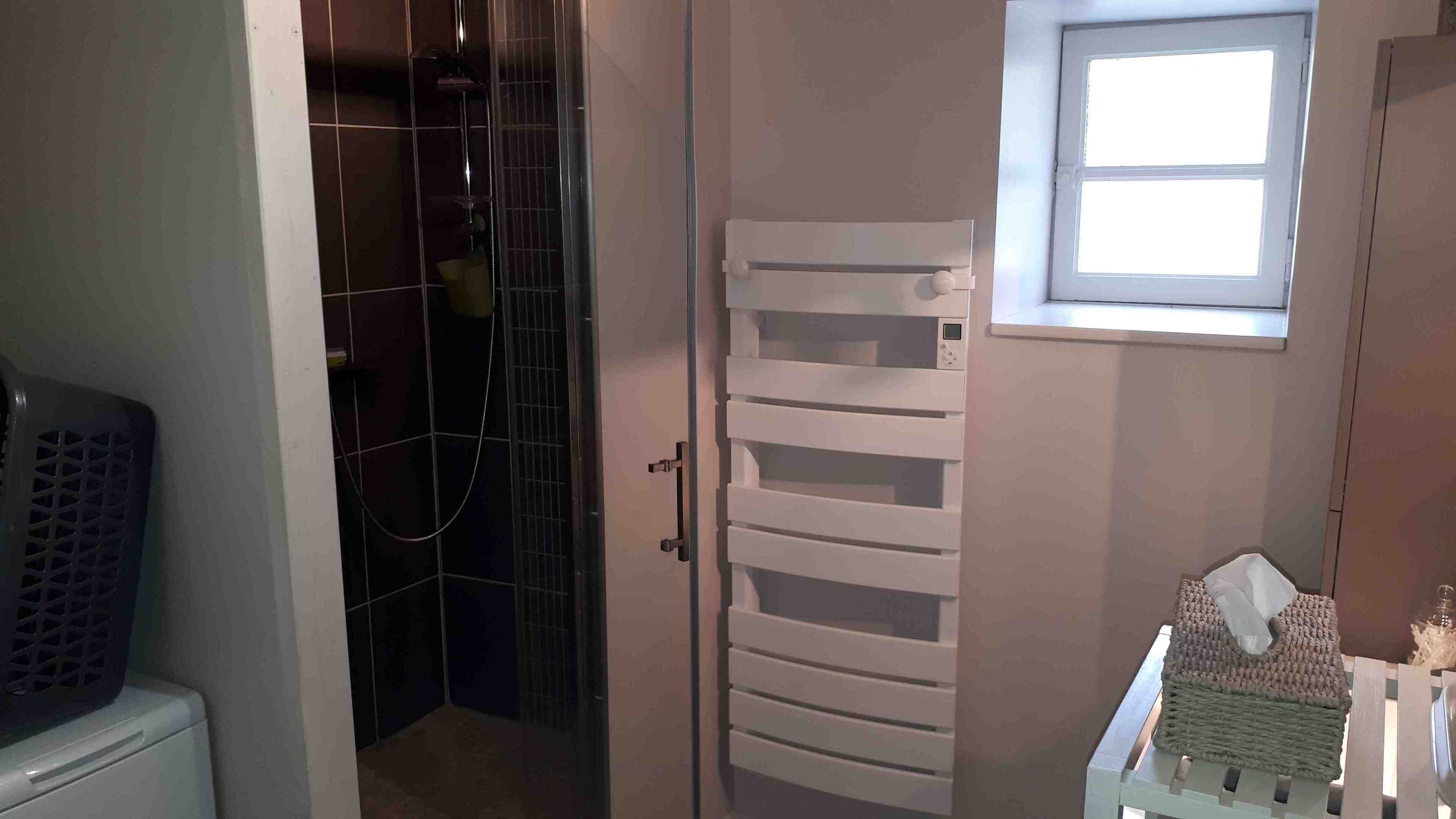 A bathroom with a shower, a toilet, and a small window.