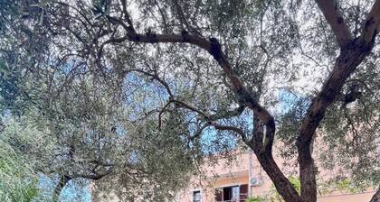 Dalori Comfort Suite