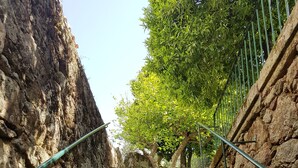 Un escalier en pierre, agrémenté de rampes métalliques, mène à un sentier bordé d’arbres.