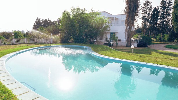 Una piscina con bordo curvo, circondata da un'area verde e alberi.
