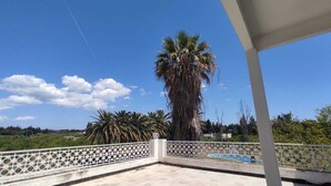 Un balcone con ringhiera bianca, una palma e vista su una piscina azzurra.