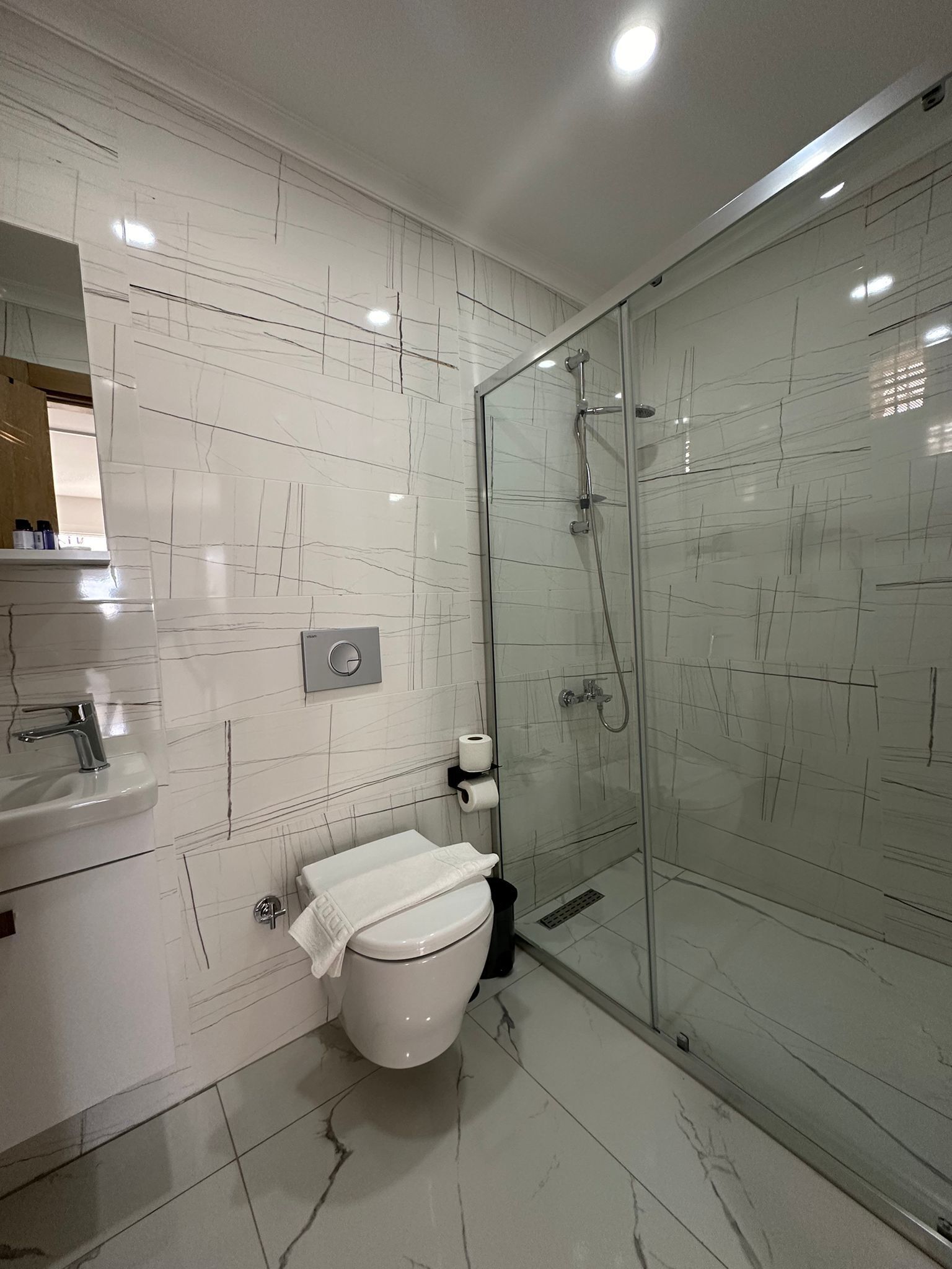 A modern bathroom with a glass-enclosed shower, a white toilet, and a sink.