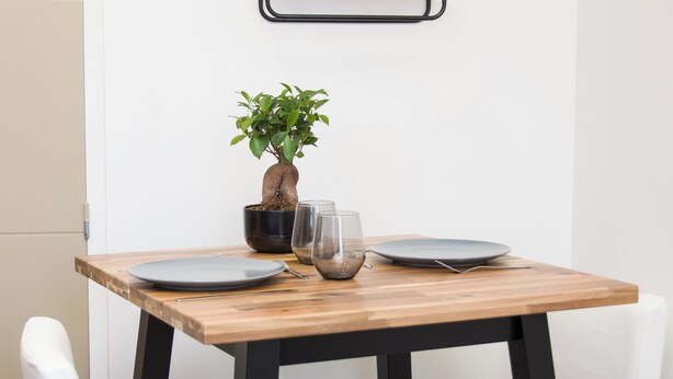 A dining table with two plates, a glass, and a bonsai tree. - Studio Quiet Downtown Rieumes (Rieumes)