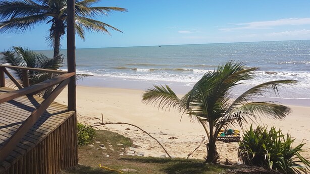 Une plage bordée de palmiers, une terrasse en bois et l’océan.