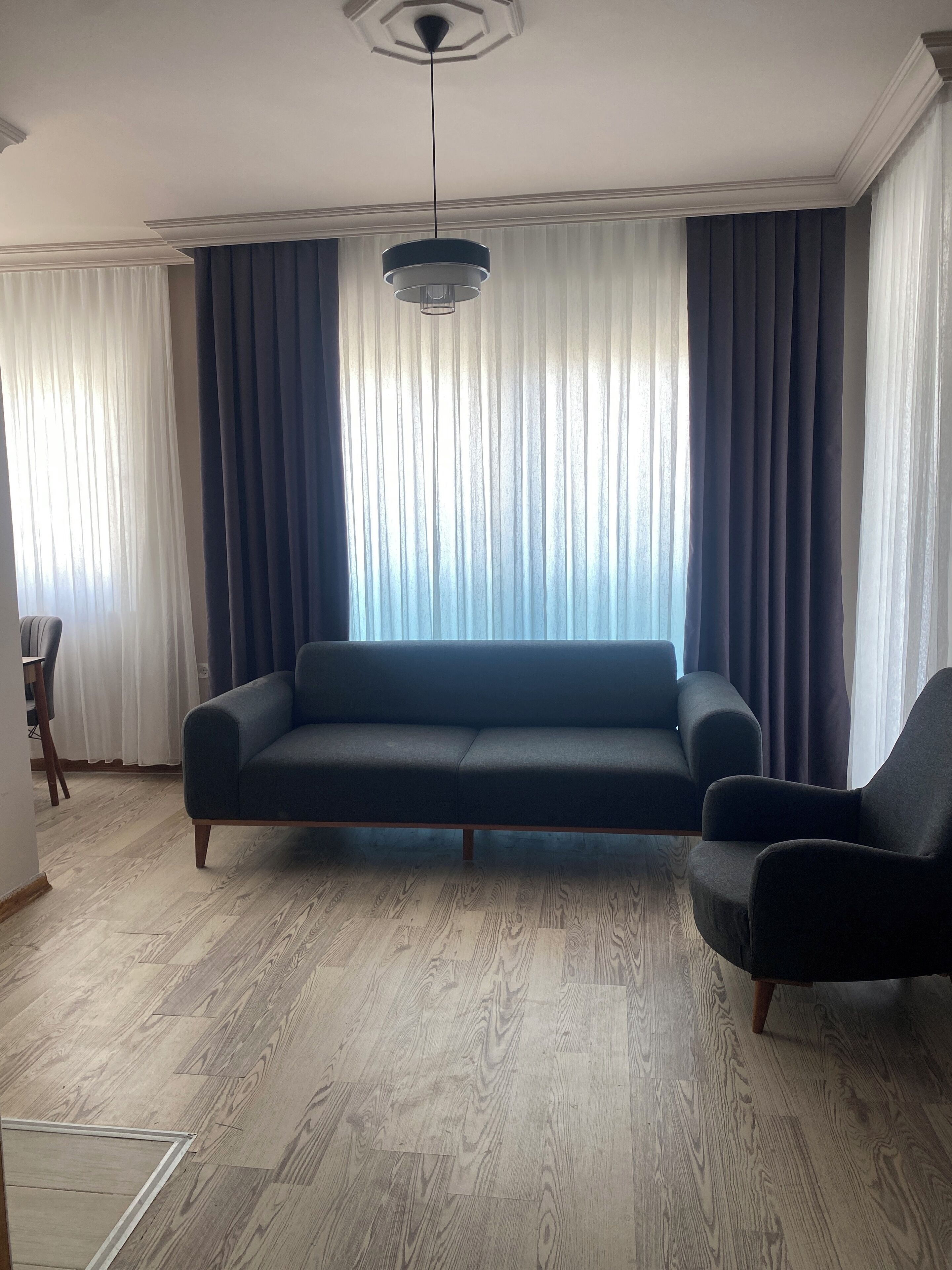 A living room with a dark sofa, a chair, and a ceiling light fixture.