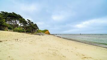 Nhà (3 Bedrooms) | Nội thất