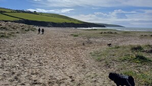 A sandy beach with people walking, a dog, and a grassy hill in the background. - 3 Room Bedsit Flat in Nat. Reserve. Pet friendly. Free return Eden taxi B4 9pm. (Par)