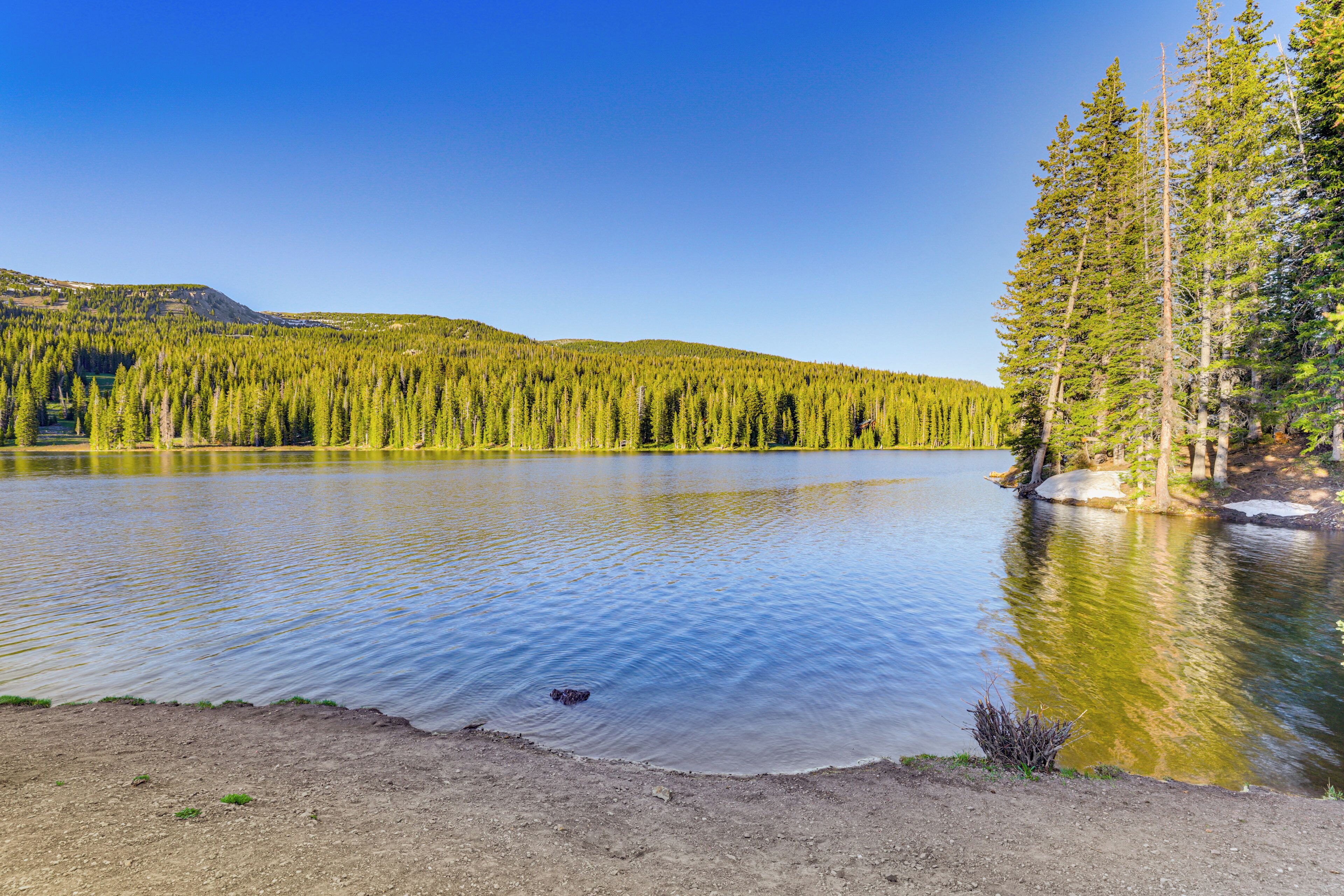 A calm lake surrounded by dense forest and a clear sky.