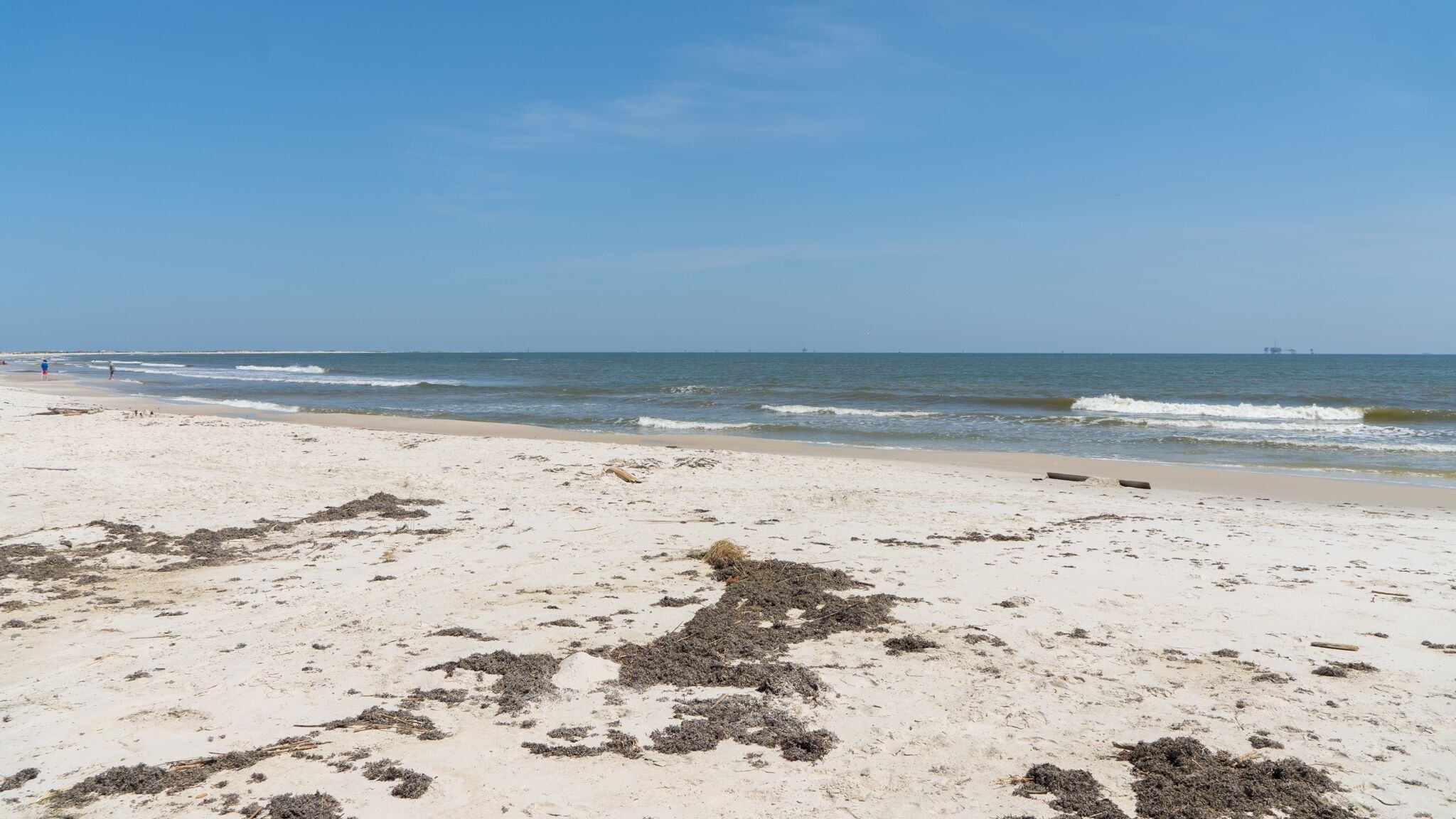 A beach with sand and seaweed, a clear sky, and distant ships.