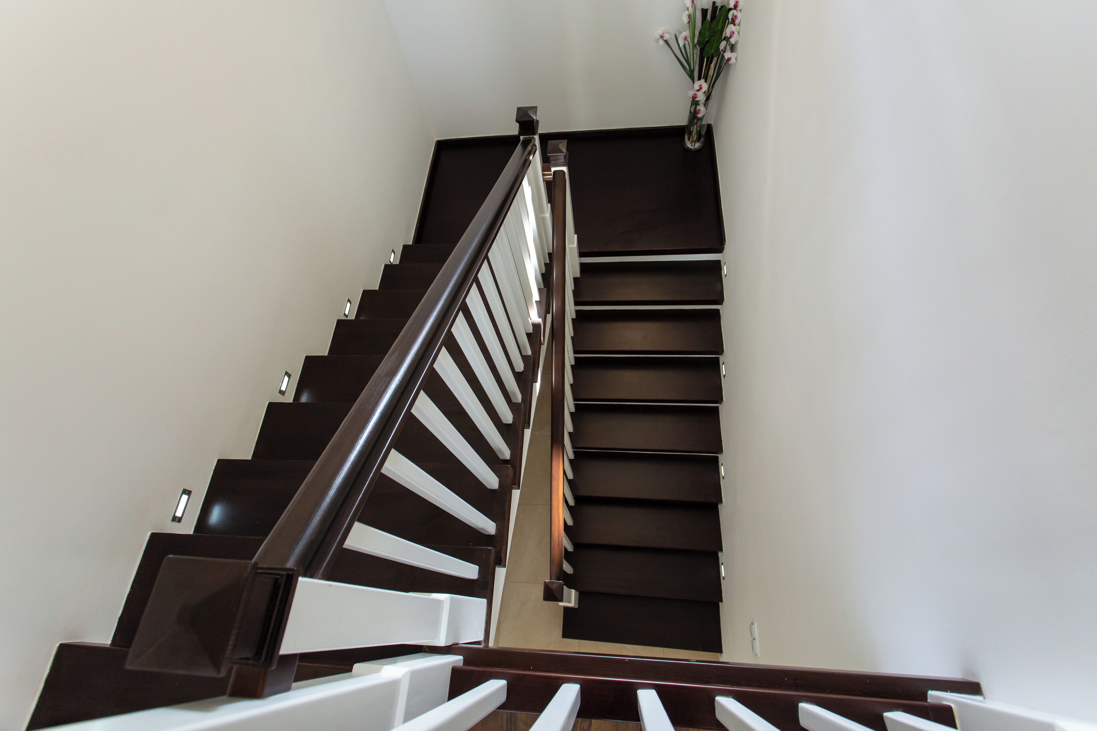 A staircase with dark wooden steps and white handrails, leading to a landing with a potted plant.