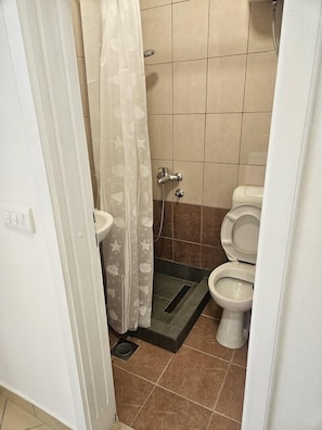A bathroom with a toilet, a shower, and a curtain.