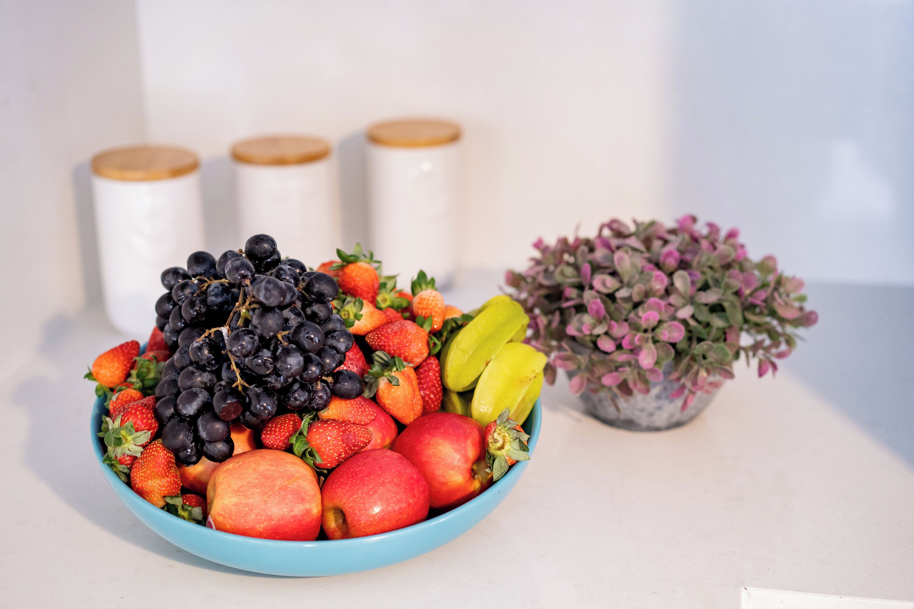 A bowl of assorted fruits including strawberries, grapes, and apples, with a potted plant in the background.